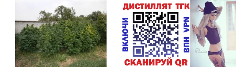 купить наркотик  Малаховка  маркетплейс клад  Дистиллят ТГК жижа 