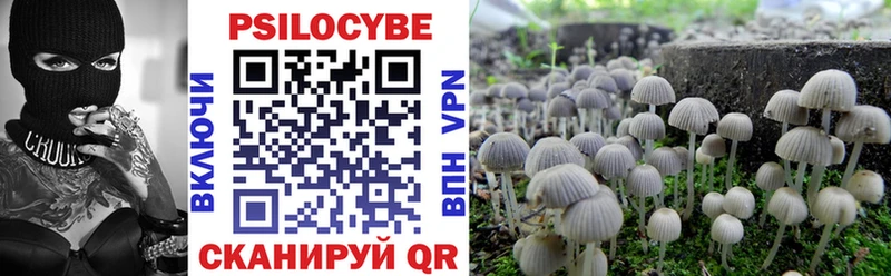 Псилоцибиновые грибы Cubensis  Малаховка 
